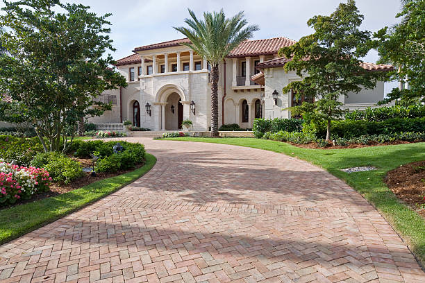 Best Local Driveway Pavers  in Terry, MS