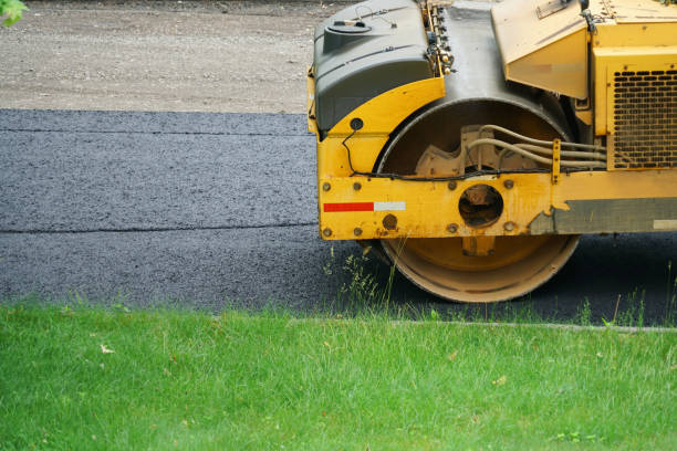 Best Custom Driveway Pavers  in Terry, MS