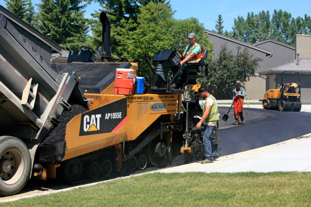 Best Paver Driveway Replacement  in Terry, MS